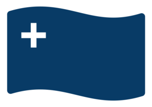 HSAs for All logo (flag)